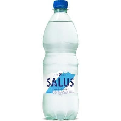 Imagen de Agua Salus Con Gas 600 ml